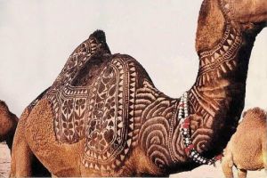 0bffd65148caf52f061fc75e5b0431b3