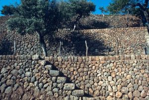 b82e09d4d91bed93421461a5c68704d0