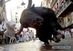 bba97676f6d26f099a25fc963dfd3355